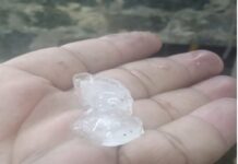 Advierte Protección Civil de Xalapa sobre la temporada de granizadas por calor.