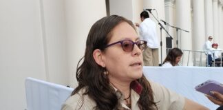 Diputada Carola Viveros defiende trabajo legislativo para tipificar encubrimiento de agresores de mujeres.