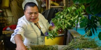 Parteras, opción de acompañamiento para mujeres embarazadas en zonas rurales