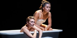 Las Dos Cassandras: Identidad femenina, duelo y expectativas sociales.