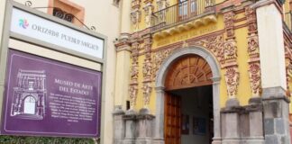 El urgente rescate del MAEV .