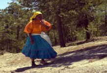 Gobiernos abandonan a comunidades de la Sierra Tarahumara. Narco se apropia del sitio.