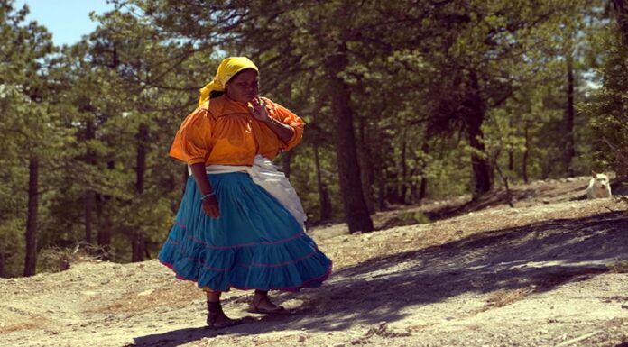 Gobiernos abandonan a comunidades de la Sierra Tarahumara. Narco se apropia del sitio.