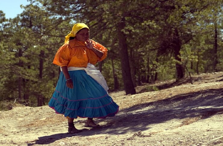 Gobiernos abandonan a comunidades de la Sierra Tarahumara. Narco se apropia del sitio.