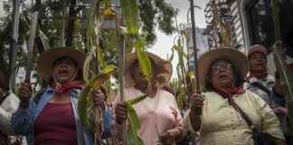 Sheinbaum retoma Plan de Justicia para Atenco a 19 años de impunidad.