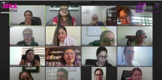 Consejera del INE imparte conferencia virtual “Más allá del 50%: El liderazgo político de las mujeres en Veracruz”