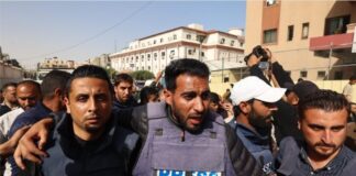 León XIV pide libertad de los 550 periodistas encarcelados