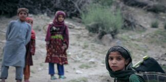 Entre guerras y recortes presupuestales: 47% de organizaciones de derechos de mujeres cerrarán este 2025.