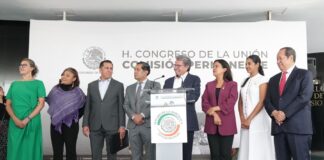 Habrá dos periodos extraordinarios para modificar 22 leyes: Ricardo Monreal