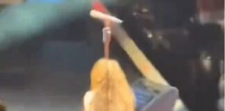 Shakira sufre aparatosa caída en pleno concierto en Canadá.