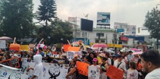 Activistas marcharon para exigir cárcel contra quienes maltraten animales.