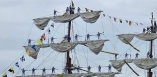 Cuando la tragedia se convierte en carnicería mediática .