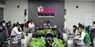 Consejo General del OPLE Veracruz atiende consulta sobre agentes y subagentes municipales