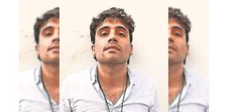 Ovidio canta y la 4T muere .