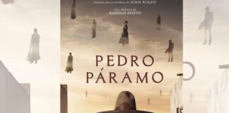 Diosas de Plata 2025: ¿Qué cintas lograron la estatuilla?.