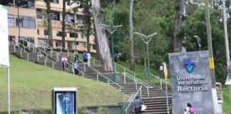 Rocío Nahle: Proceso rectoral debe realizarse respetando su autonomía y con apego a la Ley Orgánica