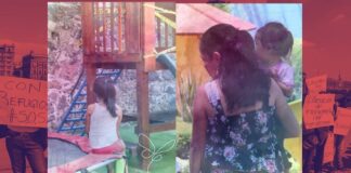 En 2025, Red Nacional de Refugios aumentó 18% número de mujeres que acompañan por casos de violencia.