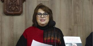 Resolución del Tribunal Electoral de Veracruz menoscaba el ejercicio de la libertad de expresión.