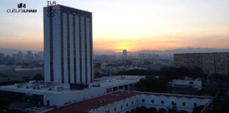 Encuentro de Colectivos y Hombres Antipatriarcales en Centro Cultural Universitario Tlatelolco.