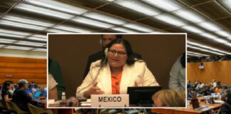 México concluyó examen CEDAW 2025. Estado mexicano no asumió su responsabilidad y queda deuda con mexicanas.