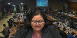 México reprueba primera audiencia ante CEDAW por fallas en justicia y autonomía institucional