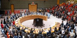 EE.UU veta resolución en Consejo de Seguridad que pedía alto al fuego y liberación de rehenes en Gaza