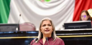 Exhorta diputada Daniela Flores a cumplir con la Ley de Tránsito y Seguridad Vial .