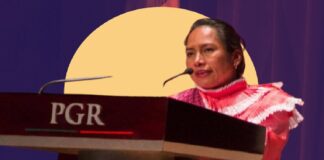 Defensora Estela Hernández, hija de Jacinta Marcial, fue víctima de tortura sexual.