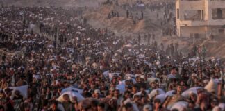 Al menos 81 personas fallecen en las últimas horas, mientras buscaban comida en Gaza.