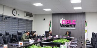 Consejo General del OPLE Veracruz resuelve procedimientos de remoción de consejos municipales.