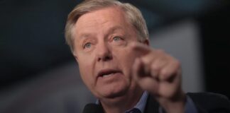 Senador estadounidense sobre la flotilla de Gaza: “¡Espero que Greta y sus amigos sepan nadar!”