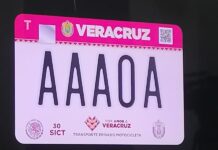 Reemplacamiento 2026 en Veracruz con descuentos de hasta 50% y trámite digital