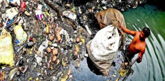 Cada persona consume más de 50.000 partículas de plástico al año .