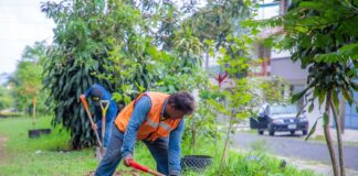 Celebrará Xalapa Día del Medio Ambiente con jornada de reforestación.