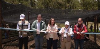 Gobernadora Rocío Nahle pone en marcha programa estatal Pulmones Verdes para 30 Áreas Naturales Protegidas