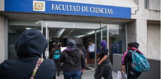 SEP celebra que el 57% de las cédulas profesionales son de mujeres; pendiente, salarios justos y acceso a la educación.