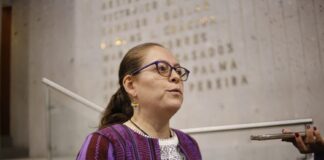 Hay posibilidades de expulsión de Morena de Manuel Huerta: Tanya Carola Viveros.