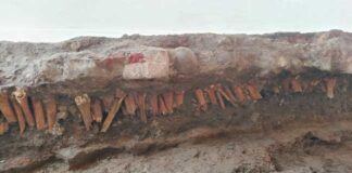 Salvamento arqueológico recupera 500 años de Historia Veracruzana