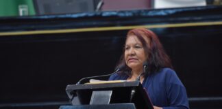Respalda diputada de Veracruz postura de la presidenta Claudia Sheinbaum.