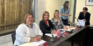 Respalda diputada convocatoria para integrar vocalías del GEPEA Veracruz.