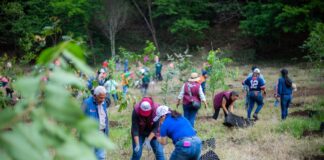 #Xalapa: En el Día del Medio Ambiente inicia campaña de Reforestación 2025