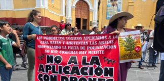 Cafetaleros señalan que hace falta un gobierno aliado ante falta de apoyo nacional.