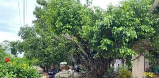 Adulta mayor identificada como la víctima de feminicidio en Acayucan.