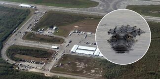 “Alligator Alcatraz”: los primeros migrantes detenidos llegan al centro de detención .