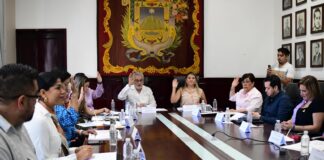 IMMX, referente estatal: Alberto Islas