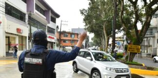 #Xalapa: Abren Araucarias de Tepic a Tapachula .