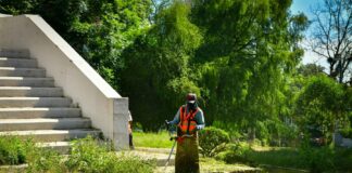 #Xalapa: Realizan Jornada Comunitaria de Mantenimiento de Áreas Verdes .