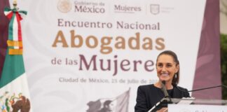 Programa «Abogadas de Mujeres», solo operará con 5 litigantes por entidad.