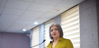 Pide diputada Daniela Flores atención inmediata a denuncias de maltrato animal .