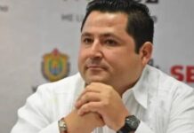 Rumbo al 2027 y 2030…¿Analizan PVEM y PT sobre alianza?